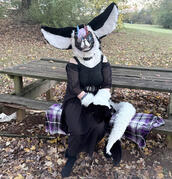 Neko's Fursuit